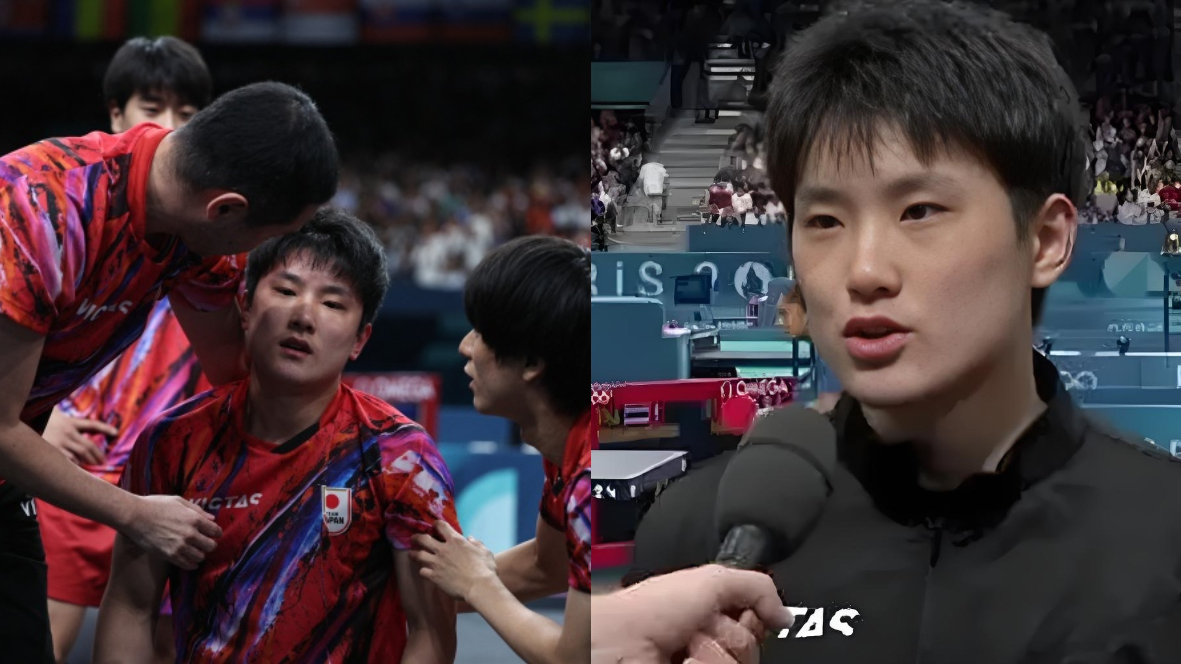 法国乒乓球队鏖战奥地利乒乓球队，张本智和制霸全场的简单介绍