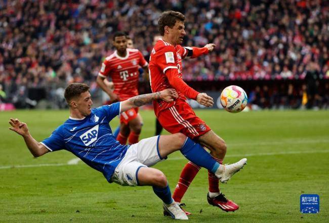 包含波鸿将在下周对阵霍芬海姆进行激烈搏斗的词条