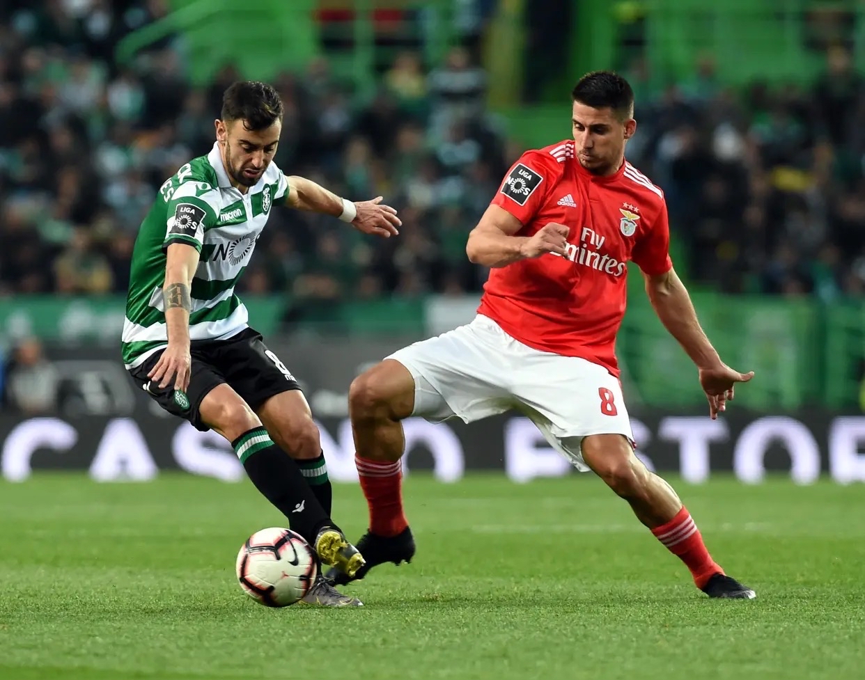 包含葡萄牙-点球不敌意大利出局的词条