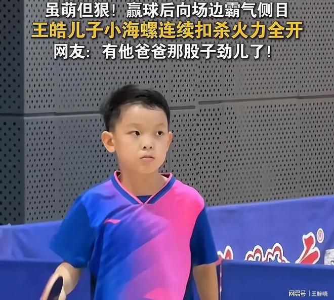 关于瑞典乒乓球队逆转法国乒乓球队，王皓完成帽子戏法的信息