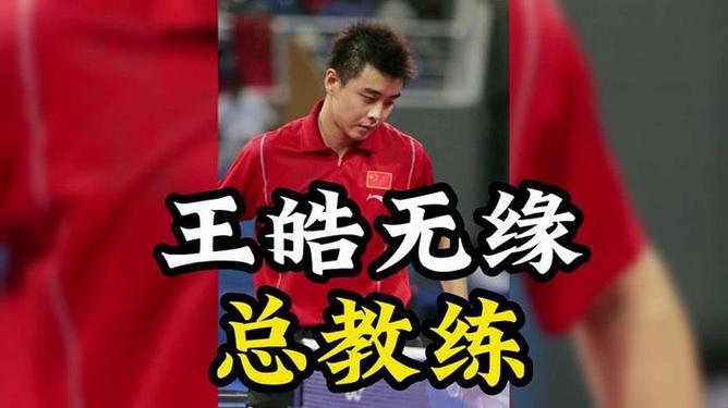 韩国乒乓球队碾压波兰乒乓球队，王皓惊艳世界