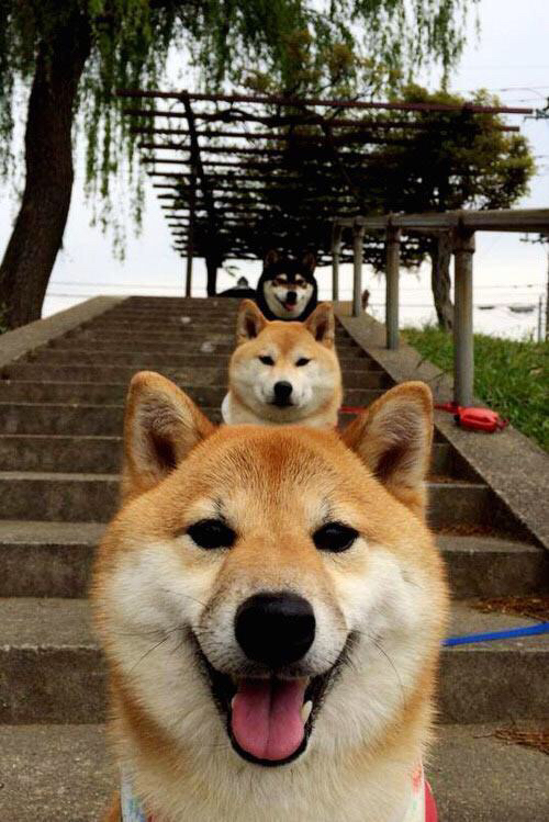 从诺坎普到伊蒂哈德,阿克在巴萨掀翻勒沃库森的焦点战中证明自己